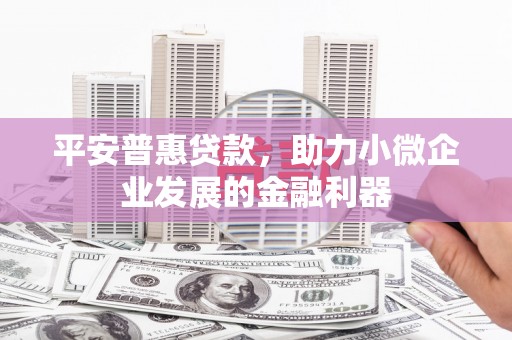 滨海平安普惠贷款，助力小微企业发展的金融利器